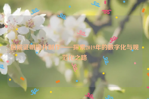 医院证明图片制作——探索2019年的数字化与规范化之路